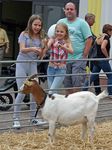 Inklusion von Menschen mit Behinderung beim Raphael Familienfest