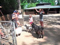 Tierparkbesuch des Heiligenstädter Kinder- und Jugendheimes St. Josef