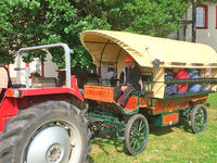 Das Wohnheim Kloster Beuren unternimmt eine Kremserfahrt